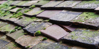 Doddington roof repair costs